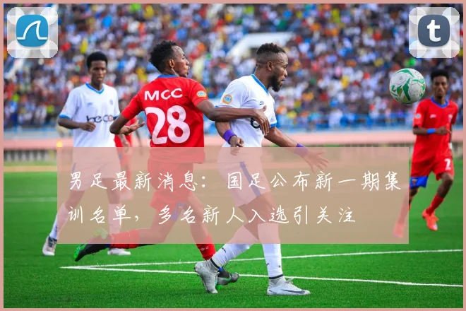 男足最新消息：国足公布新一期集训名单，多名新人入选引关注
